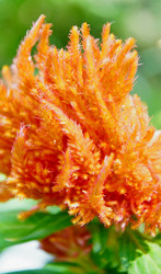 Similar image 21068905