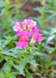 Similar image 21068908