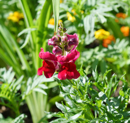 Similar image 21068910