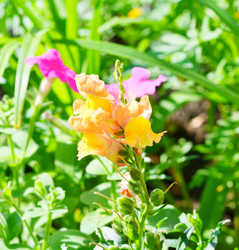 Similar image 21068912