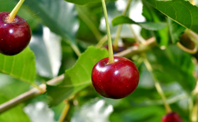 Similar image 21068913