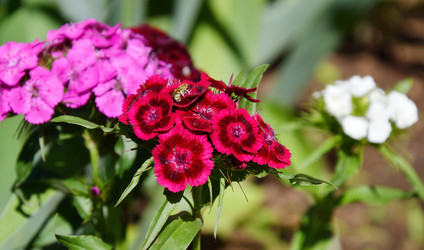 Similar image 21068914