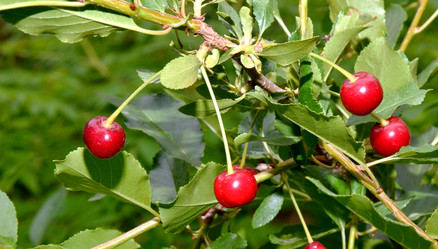 Similar image 21068915