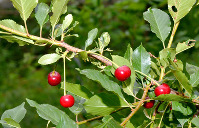 Similar image 21068916