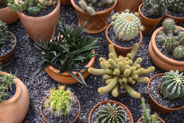 Similar image 21063636