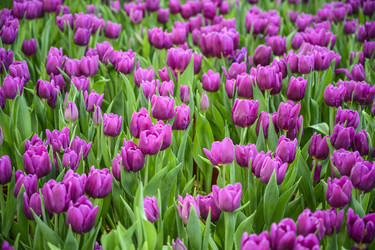 Similar image 21063774