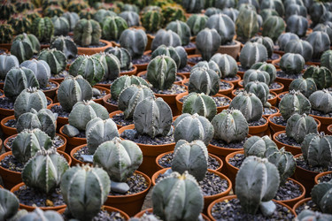 Similar image 21063778