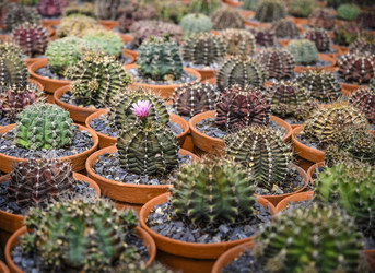 Similar image 21063782