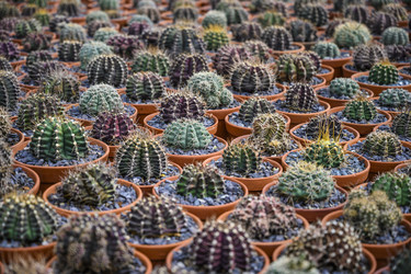 Similar image 21063784