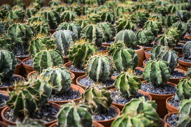 Similar image 21063786