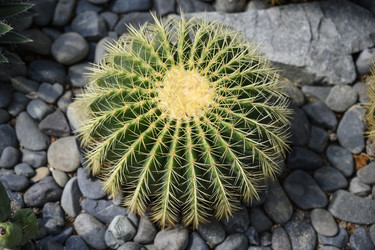 Similar image 21063788