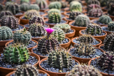 Similar image 21063792