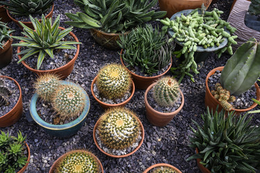 Similar image 21063800