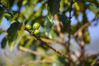 Similar image 21063829