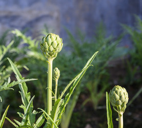 Similar image 21063831