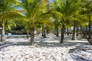 Similar image 21067625