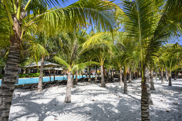 Similar image 21067628