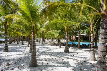 Similar image 21067630