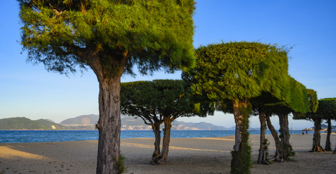 Similar image 21067632