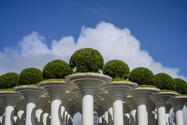 Similar image 21063519