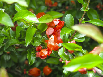 Similar image 21045233