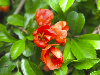 Similar image 21045234