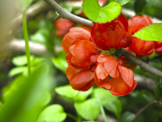 Similar image 21045235