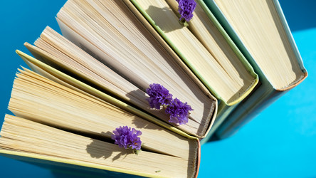 Similar image 21044588