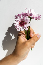 Similar image 21044589