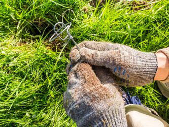 Similar image 21044597