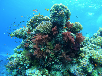 Similar image 21044605