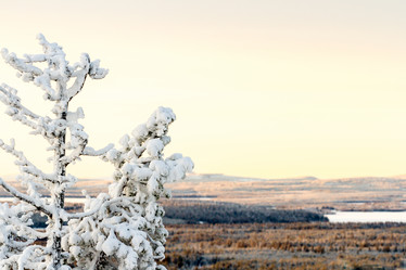 Similar image 21044620