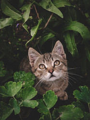 Similar image 21048022