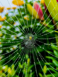 Similar image 21048023