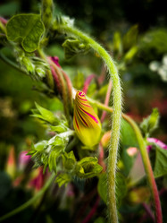 Similar image 21048024