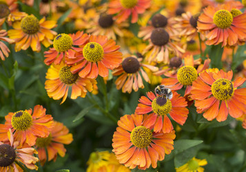 Similar image 21045649