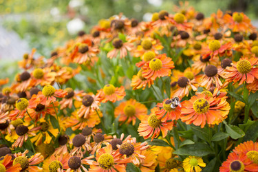 Similar image 21045650