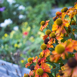 Similar image 21045651