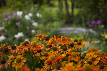 Similar image 21045653