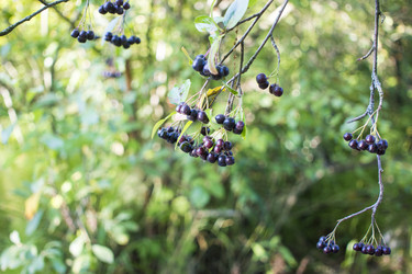 Similar image 21045654