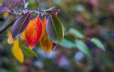 Similar image 21045657