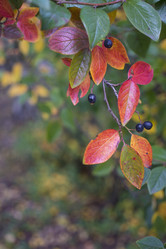 Similar image 21045662