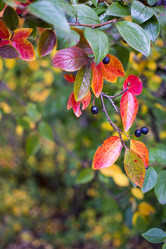 Similar image 21045663