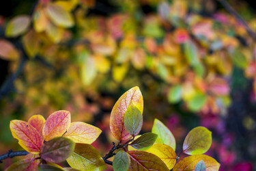 Similar image 21045665