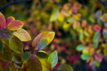 Similar image 21045666