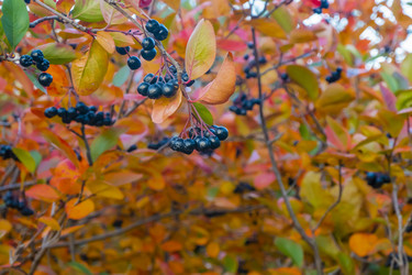 Similar image 21045668