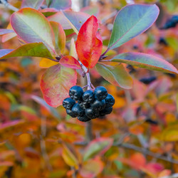 Similar image 21045669