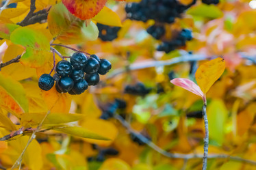 Similar image 21045670