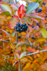 Similar image 21045671