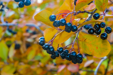 Similar image 21045672